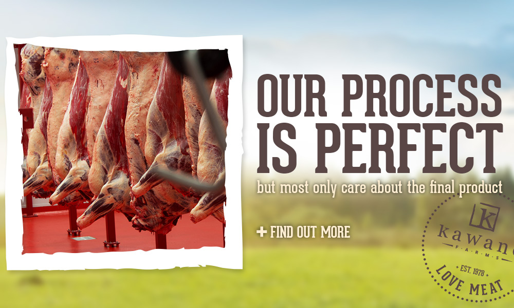 Our process is perfect. Find out more.